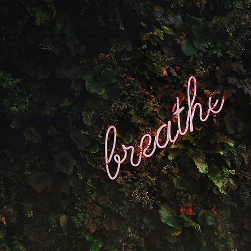 Purple neon sign against green plants