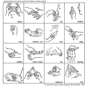 Image of hand diagrams in Plains Indian Sign language